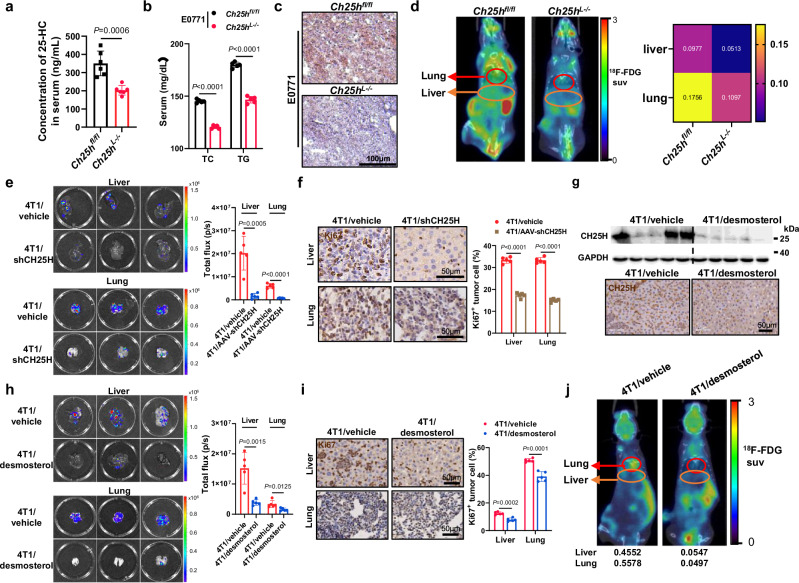 外泌体技术服务