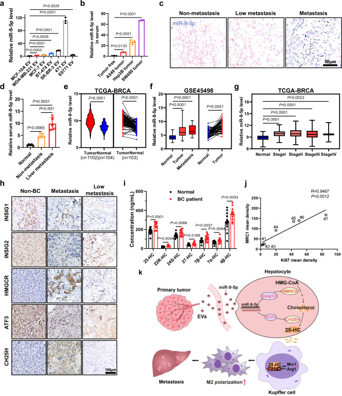 外泌体技术服务