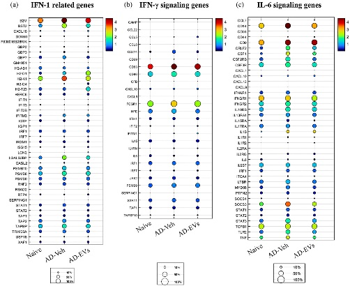 外泌体技术服务 外泌体技术服务