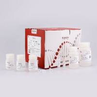 动物组织/细胞总RNA快速提取试剂盒(100rxns)