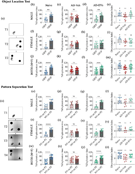 外泌体技术服务 外泌体技术服务