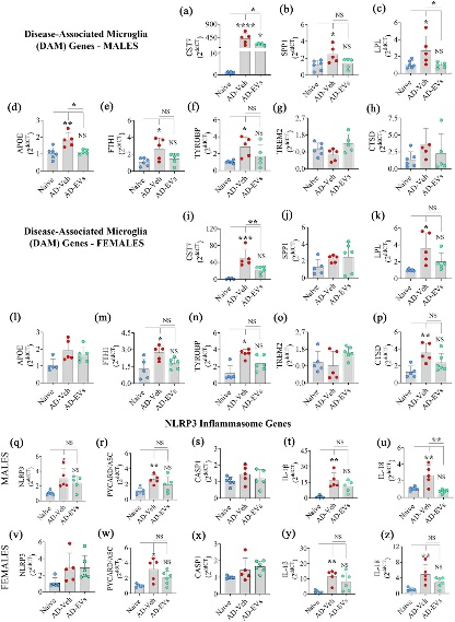 外泌体技术服务 外泌体技术服务