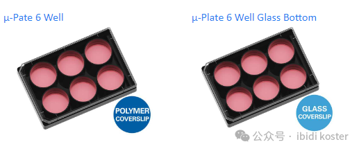 ibidi新品：高分辨率显微镜应用的黑色 6 孔培养板