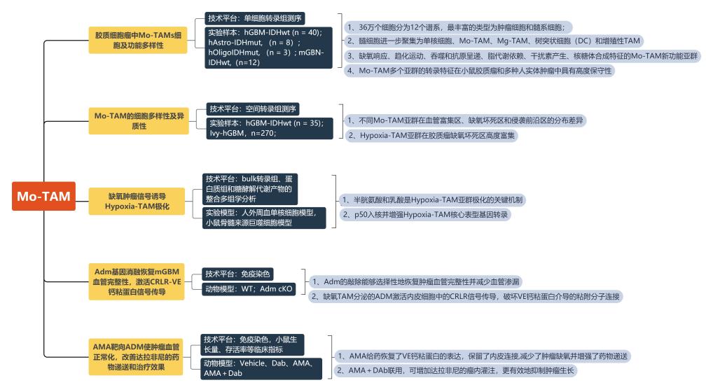 新闻图片21