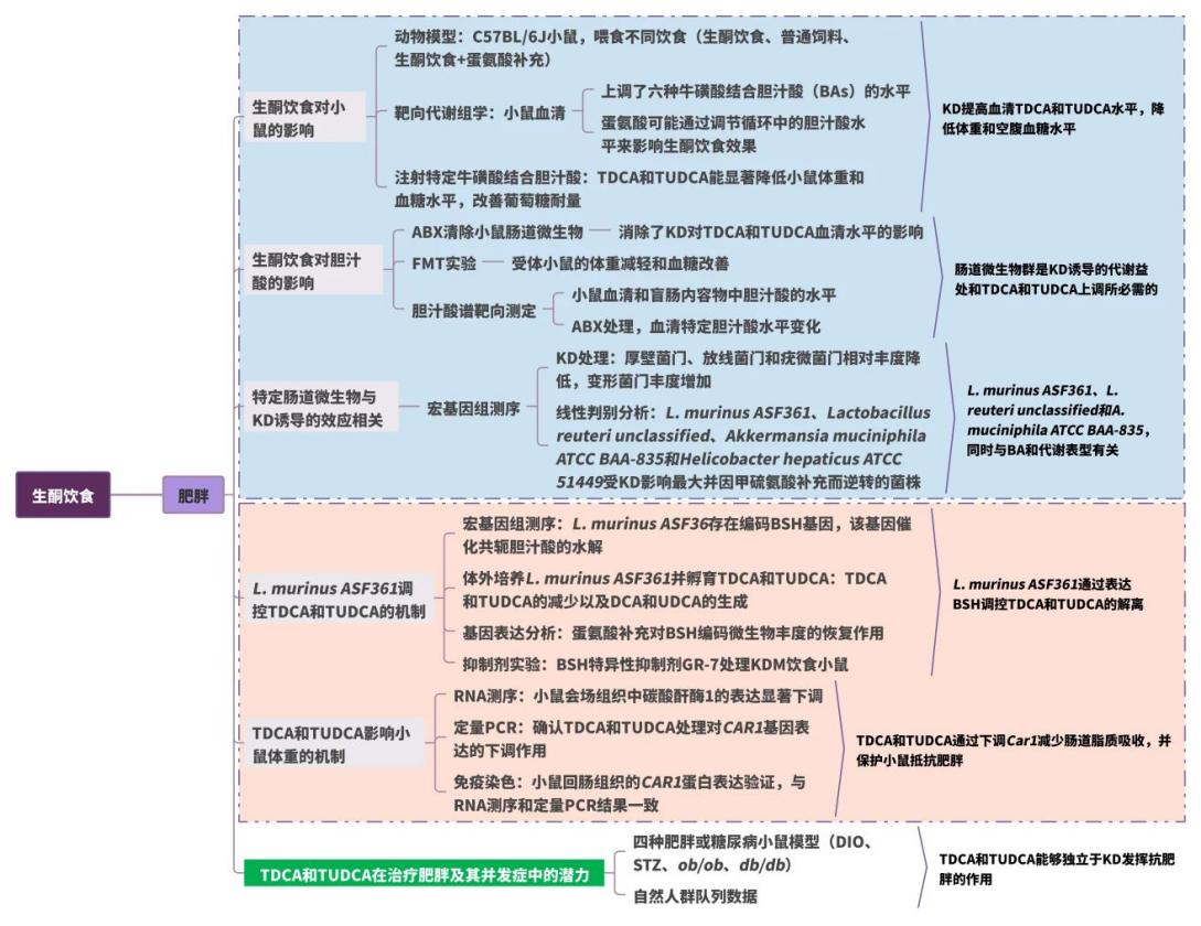 新闻图片15
