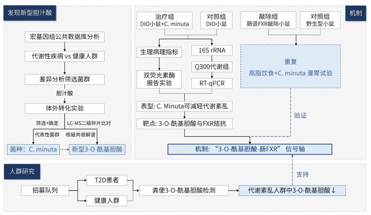 新闻图片4