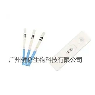 登革热病毒抗原（DENV-Ag）检测试剂（胶体金法）