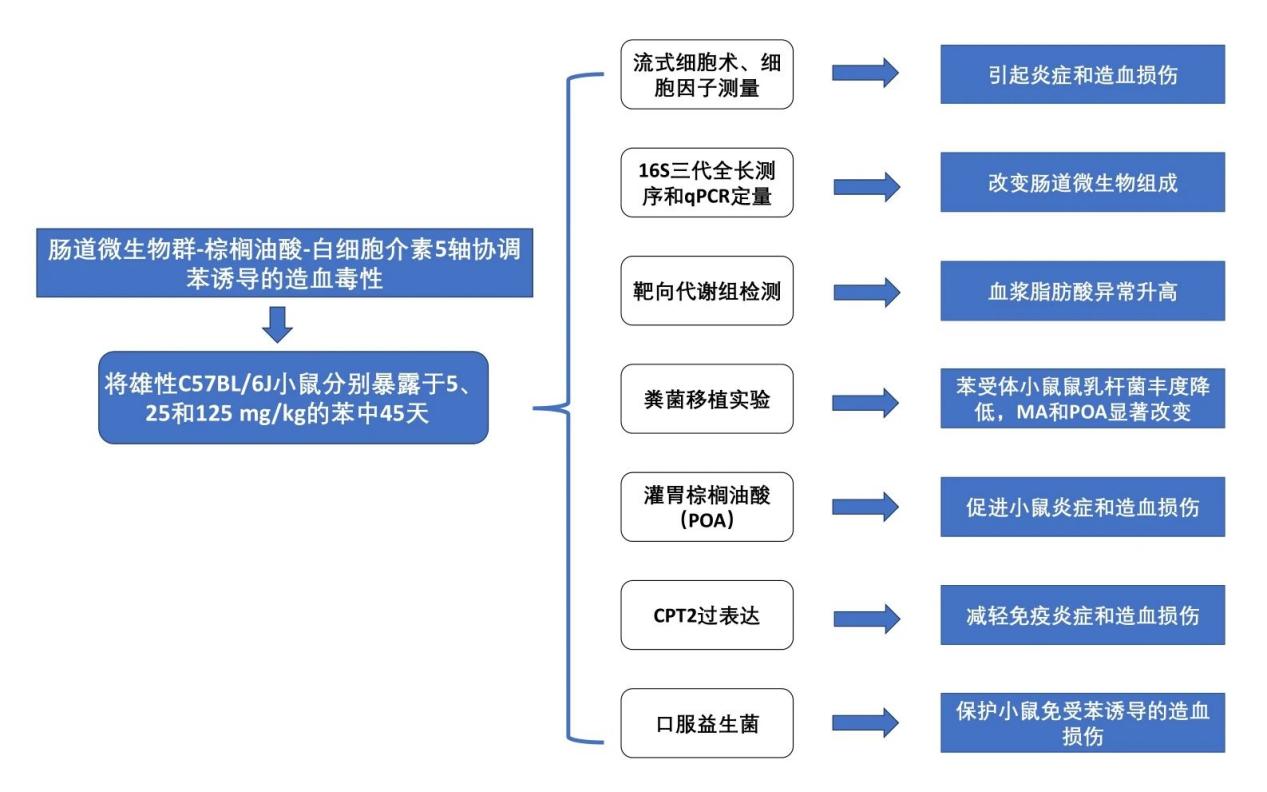 新闻图片9