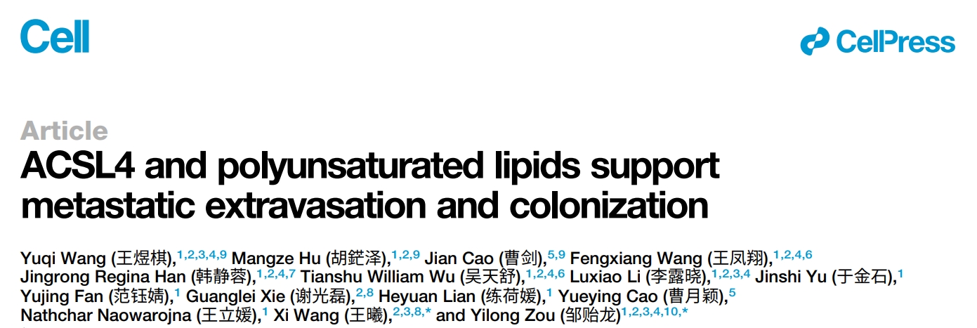 Cell | 长链酯酰辅酶A合成酶ACSL4 携手多不饱和脂质：为癌细胞转移性“大迁徙”开启“绿色通道”