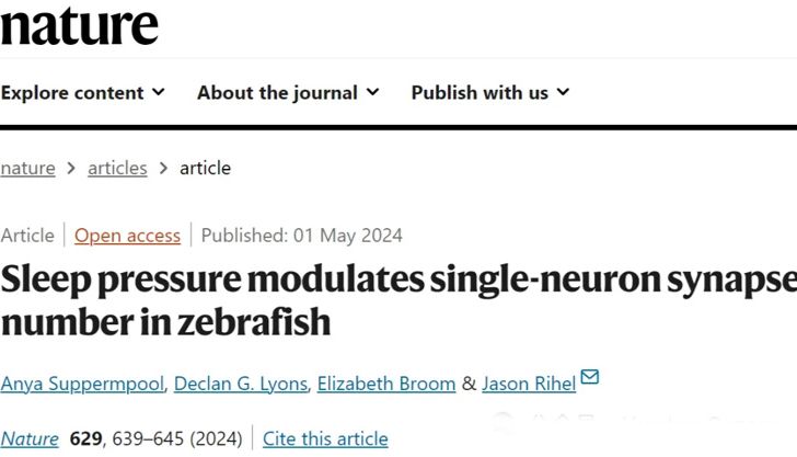 Nature等合辑丨斑马鱼在睡眠机制研究及应用中的进展