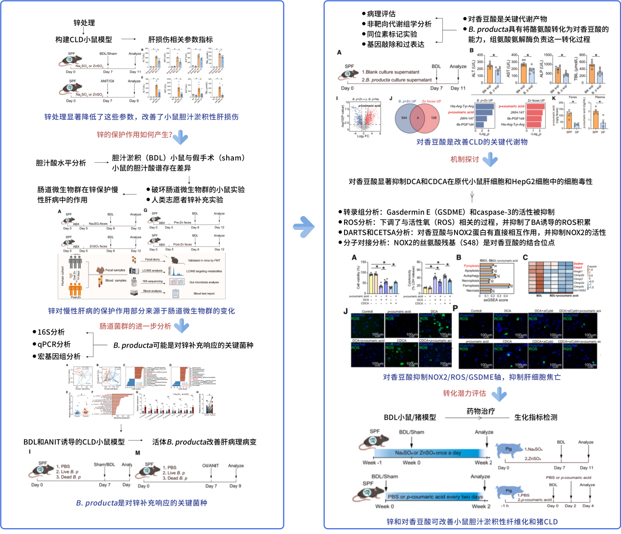 新闻图片13