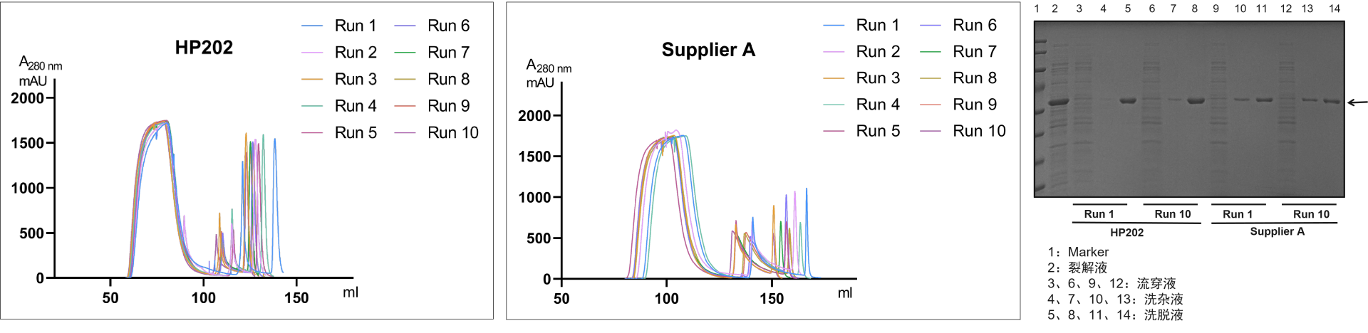 Ni Sepharose FF (NTA)(HP202)