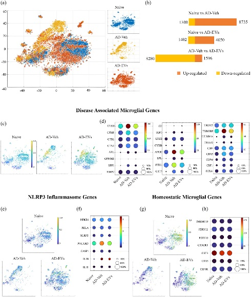 外泌体技术服务 外泌体技术服务