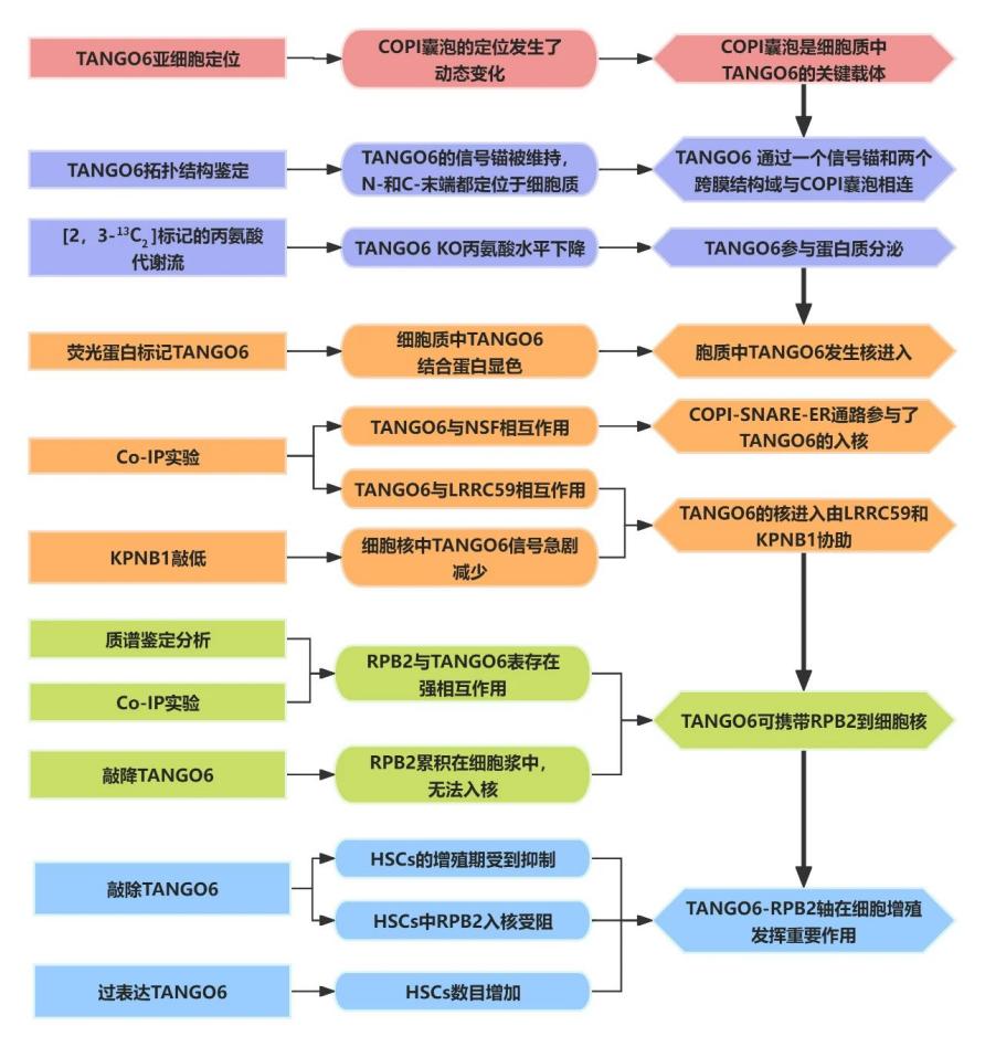 新闻图片19
