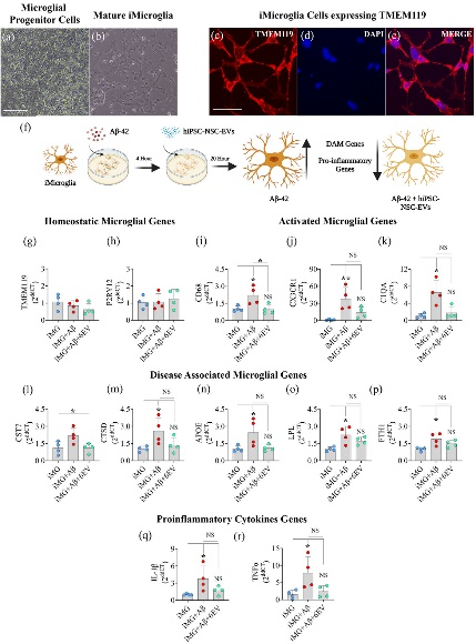 外泌体技术服务 外泌体技术服务
