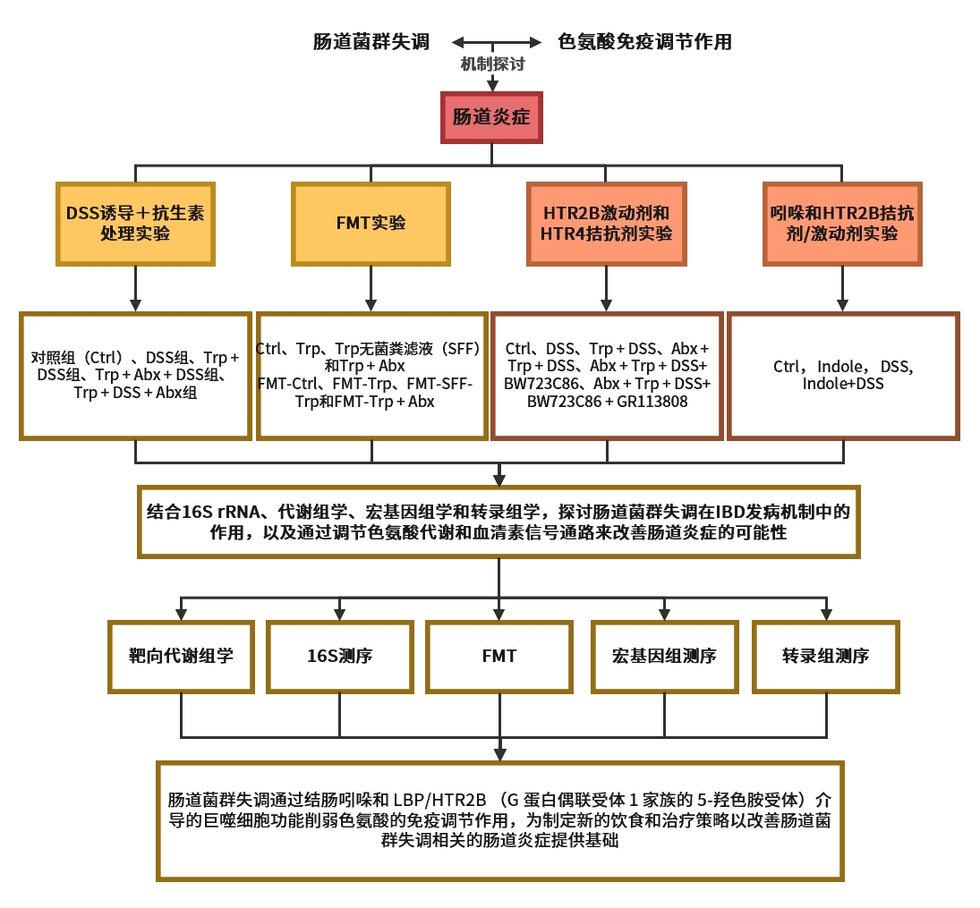 新闻图片31