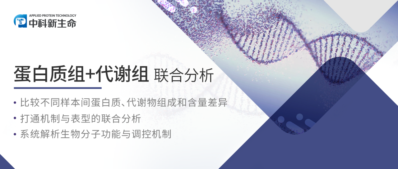 在蛋白质组+代谢组的关联研究中，如何快速锁定关键蛋白质和代谢物呢？