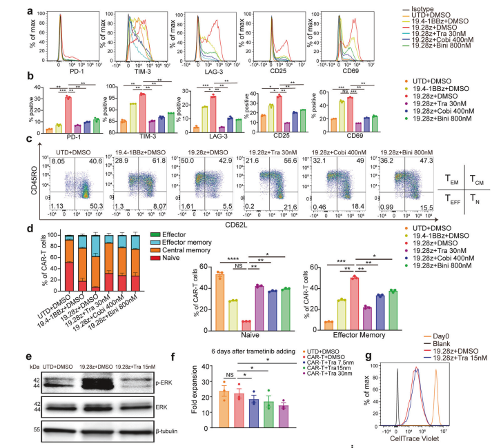 文献合集I2024年第四季度Clinx勤翔ChemiScope系列荧光及化学发光成像系统应用摘要