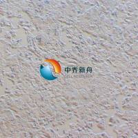 P19小鼠畸胎瘤细胞