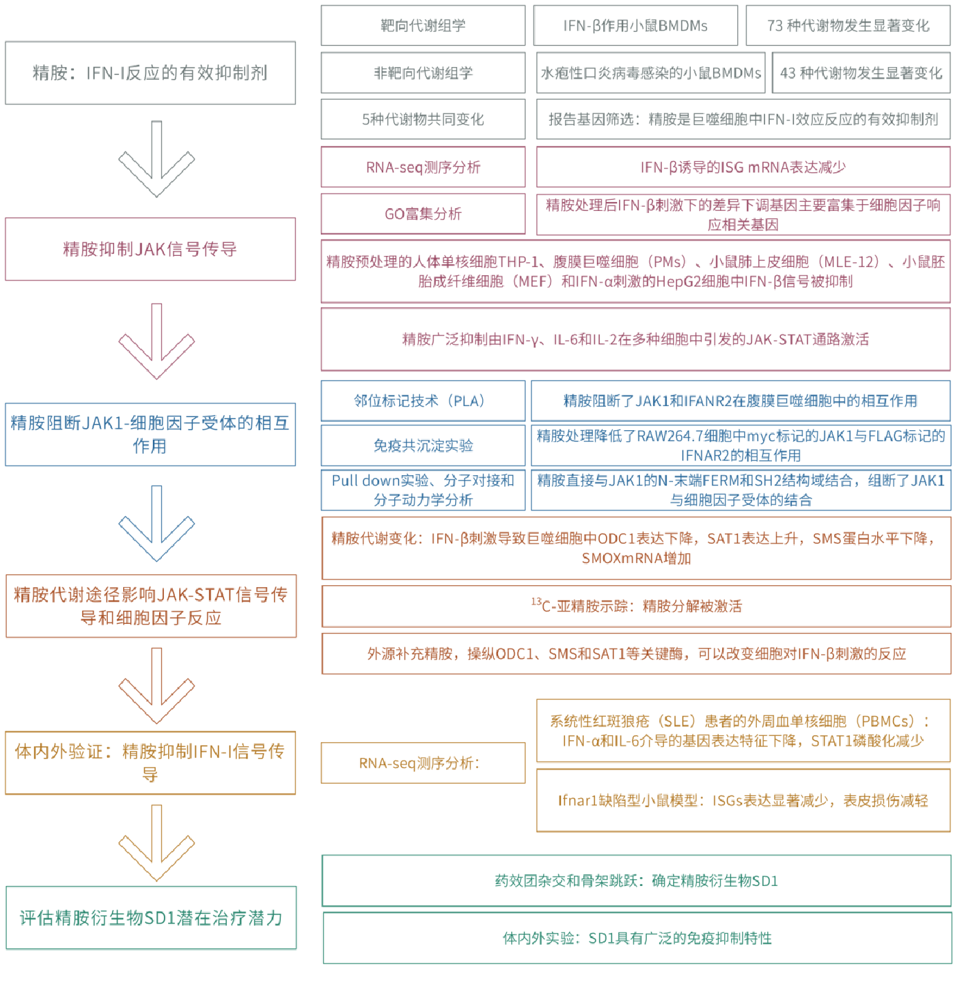 新闻图片27