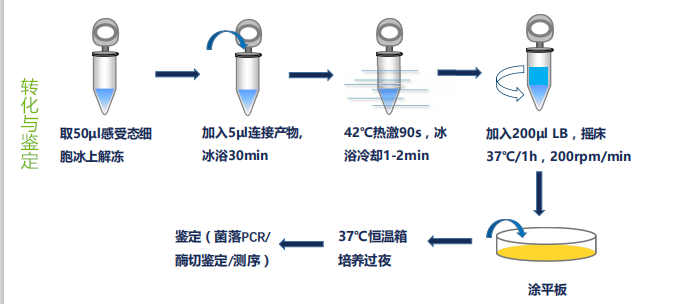 产品细节图片1