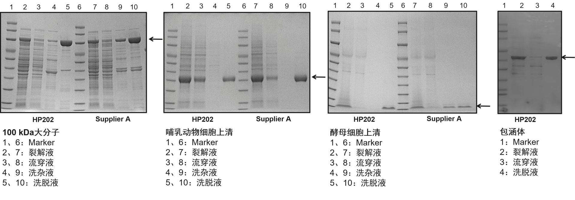 Ni Sepharose FF (NTA)(HP202)