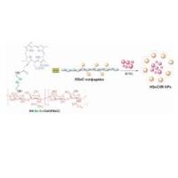 负载光热疗法(PTT)试剂IR780的光敏剂二氢卟吩e6(Ce6)-透明质酸(HA)聚合物