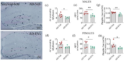 外泌体技术服务 外泌体技术服务
