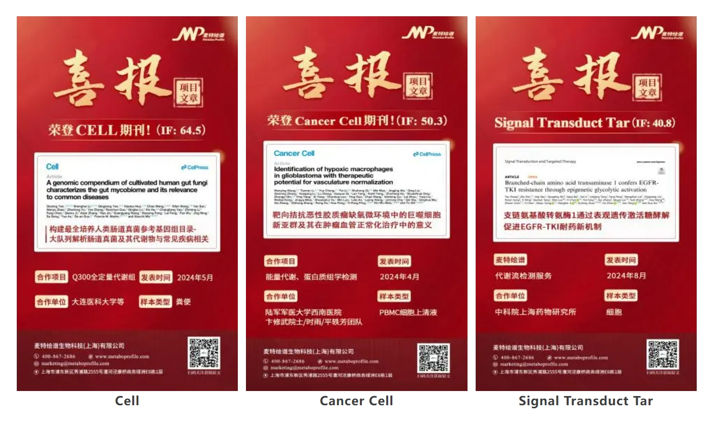 2024年度项目总结报告：顶刊佳作云集，邀您共赏高分研究范例