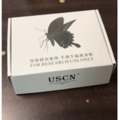 信号传导转录激活因子2(STAT2)检测试剂盒(酶联免疫吸附试验法)