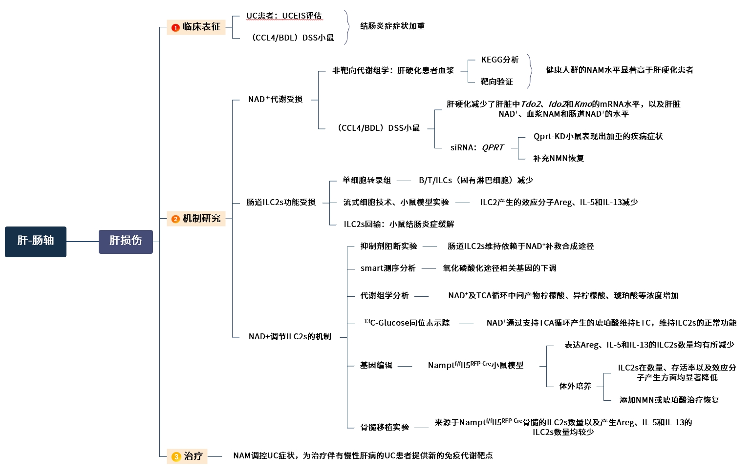新闻图片20