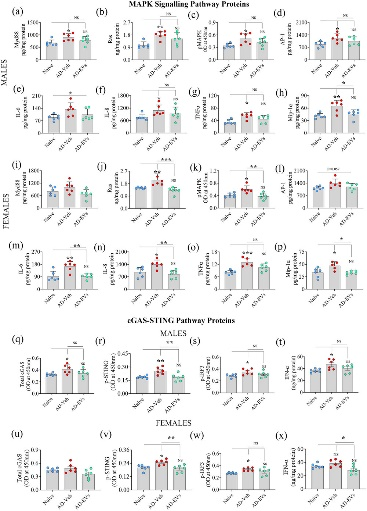 外泌体技术服务 外泌体技术服务