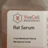 VivaCell货号C2570-0050大鼠血清19121878899上海睿安生物