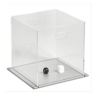 新物体识别实验视频分析系统