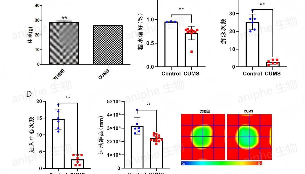 一篇文章搞懂：CUMS、CSDS、CRS、SIS慢性应激动物模型区别与特点