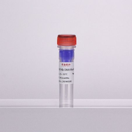DM-15kb DNA Marker