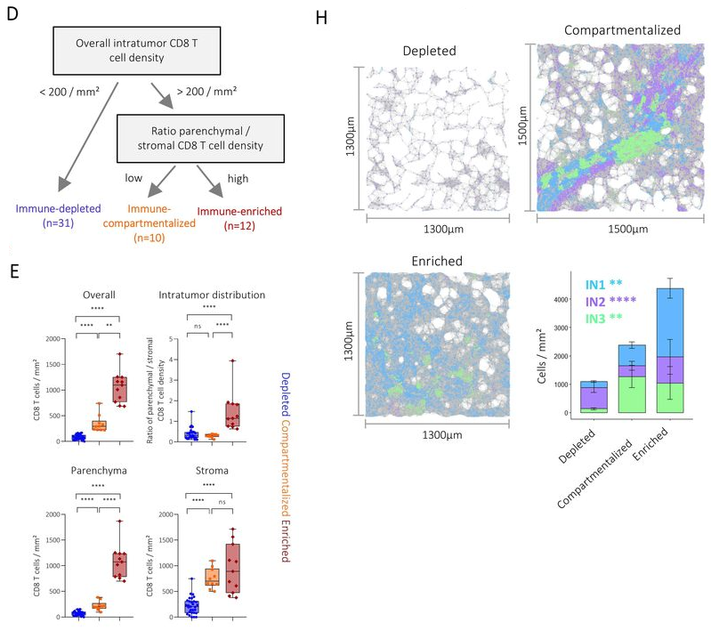 文献解读 | 肝癌免疫组织结构决定免疫疗法预后