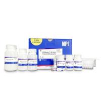 SPINeasy™ 96孔板质粒提取试剂盒