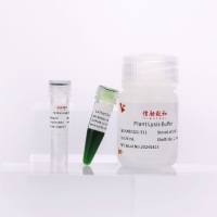 植物组织PCR直扩试剂盒