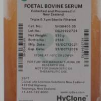 胎牛血清源自新西兰，HyClone FBS