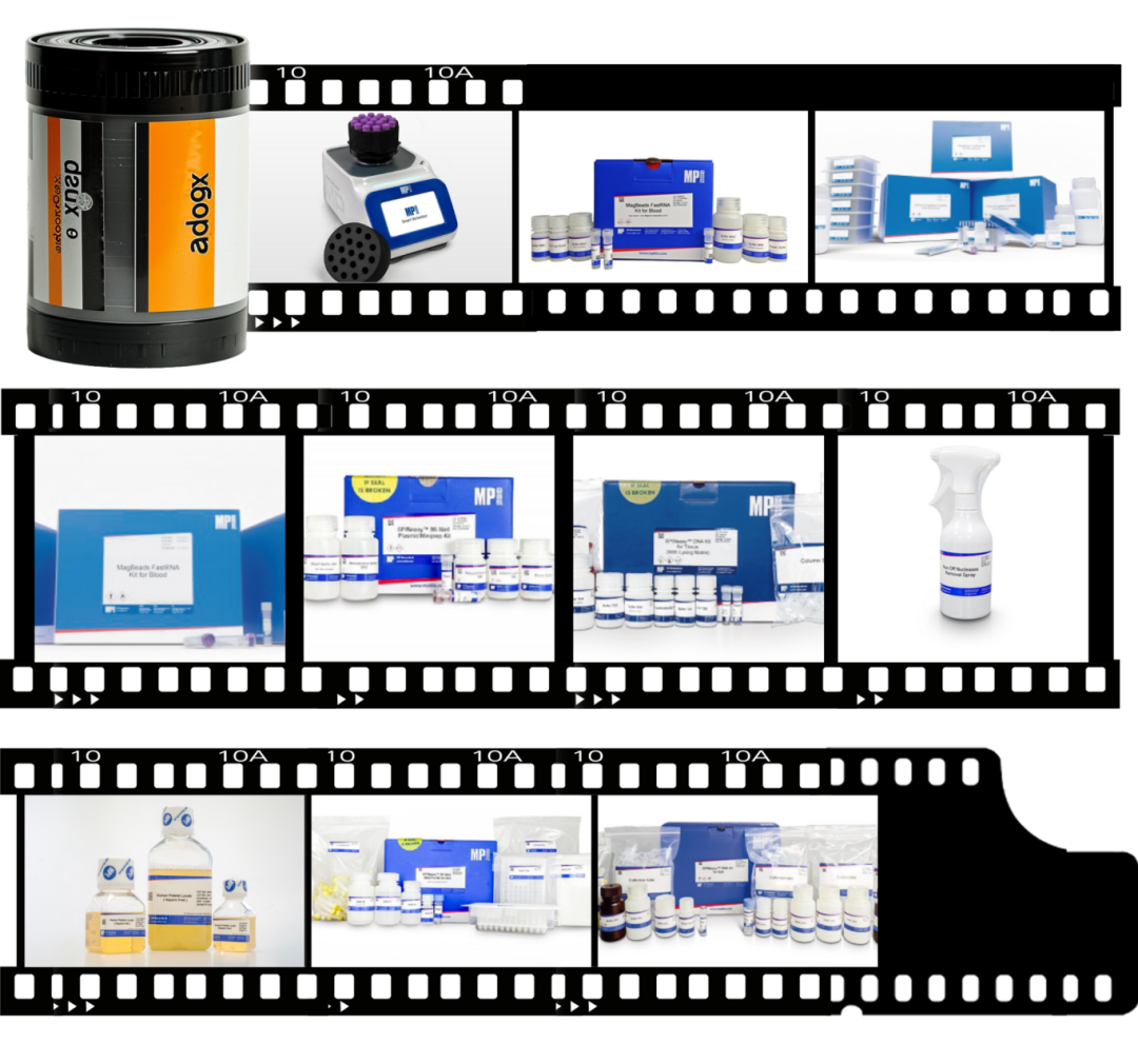 【免费试用】2024年度新品盘点，哪款你最熟悉？