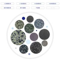 HEK-293-EBNA（稳定表达EBNA1的人胚肾细胞）