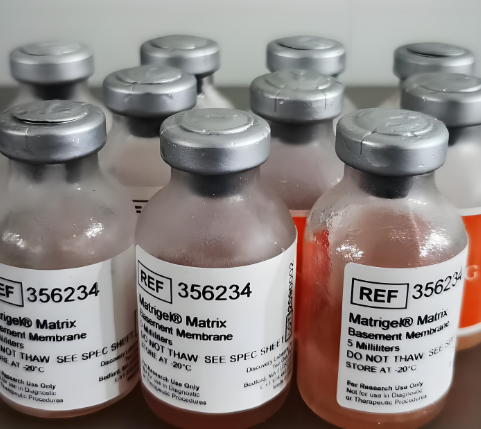 康宁基质胶354248