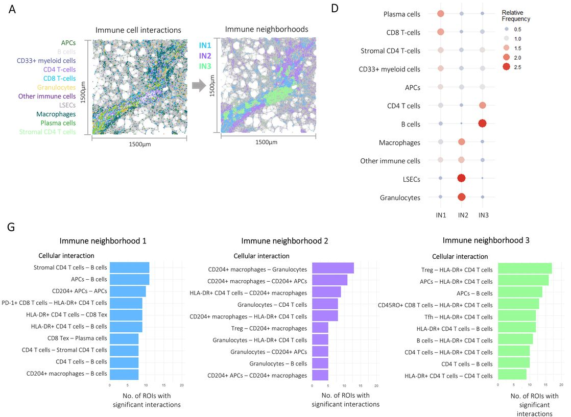 文献解读 | 肝癌免疫组织结构决定免疫疗法预后