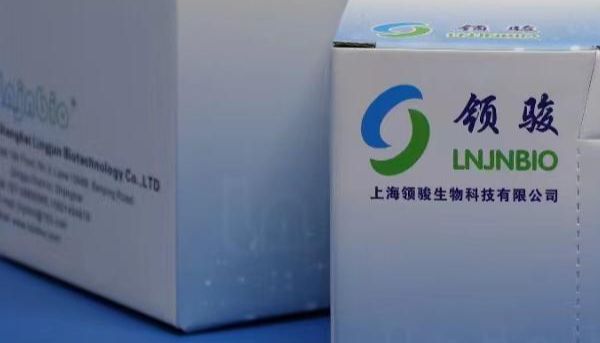 揭开生命密码：核酸提取在人类身份确认中的关键作用