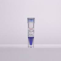 2×DNA/RNA电泳上样缓冲液