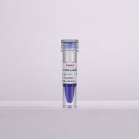 2*DNA/RNA电泳上样缓冲液