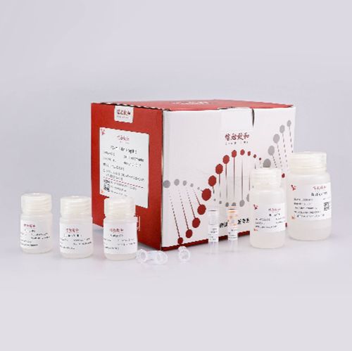 2×快速型Taq PCR 预混液(含染料)