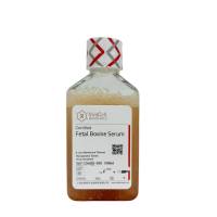 C04001-500特级胎牛血清