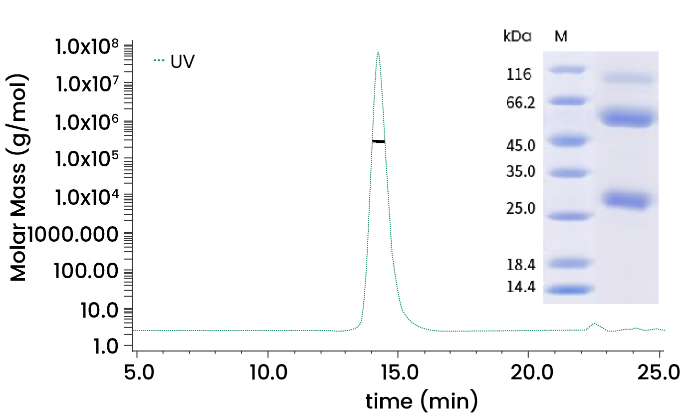 美国加州因H5N1禽流感爆发进入紧急状态，我们该如何科学应对？